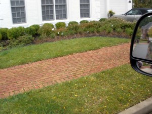 Brick Pavers before Sewer Line Replaced under it